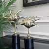DÖKÜM GOLD 2’Lİ DENİZ KABUĞU