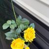SARI RENK LUX ISLAK GÜL DALI